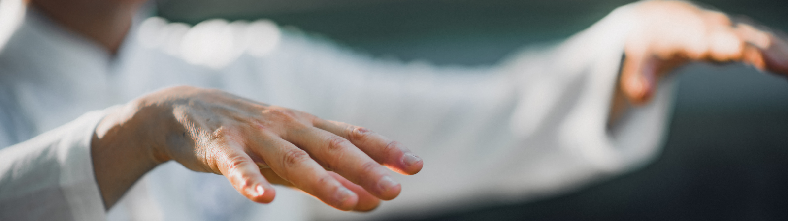 Close-up of Hands Doing Tai Chi - Tai Chi Icons